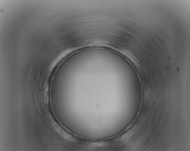 X0000062861126200601201722