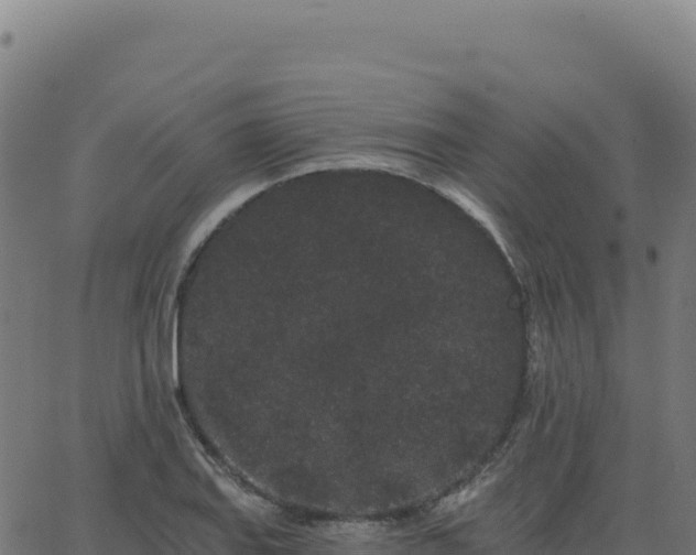 X0000062861127200601201722