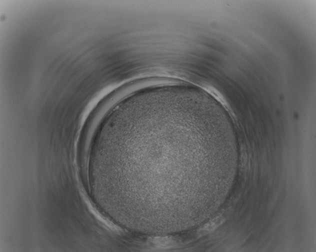 X0000062861128200601201722