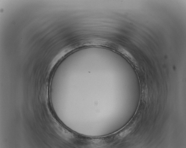 X0000062861130200601201722