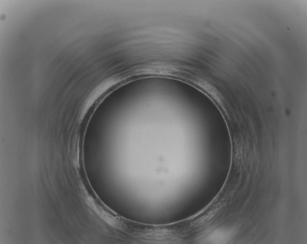 X0000062861131200601201722