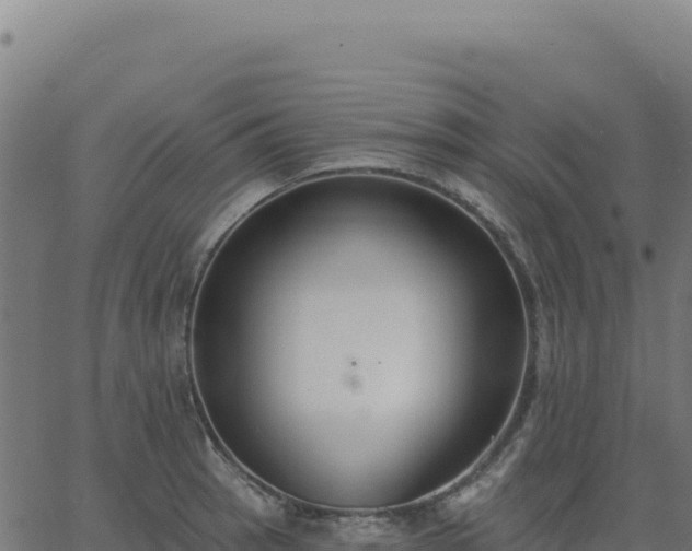 X0000062861137200601201722