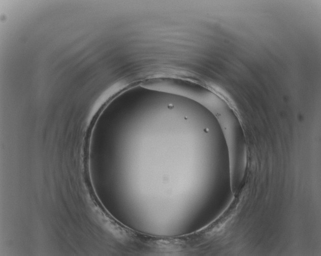 X0000062861138200601201722