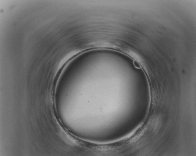 X0000062861141200601201722