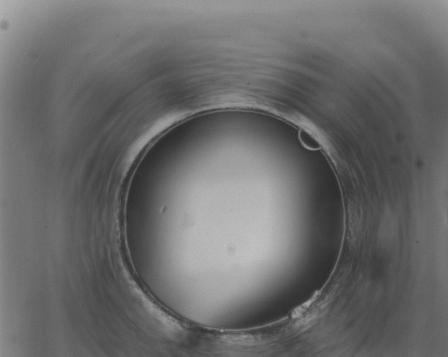 X0000062861142200601201722