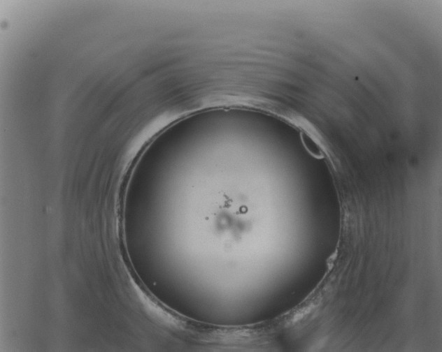 X0000062861143200601201722