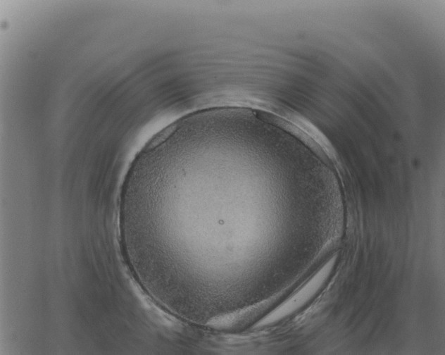 X0000062861144200601201722