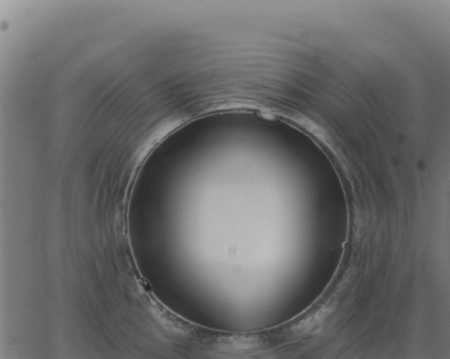 X0000062861145200601201722