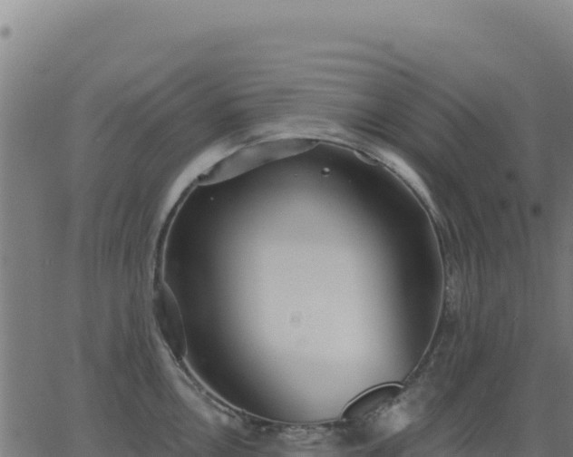 X0000062861146200601201722