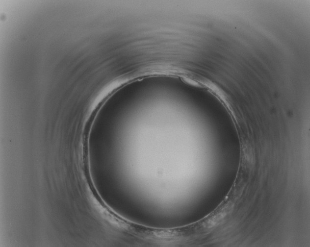 X0000062861147200601201722