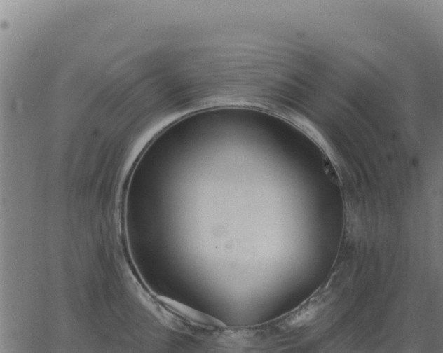 X0000062861148200601201722