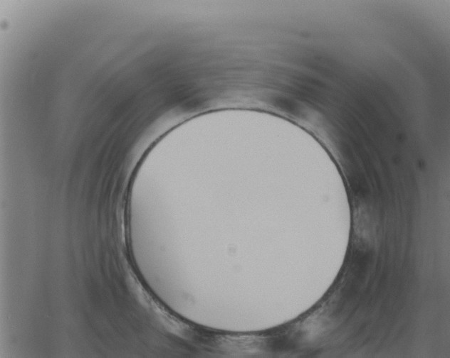 X0000062861150200601201722