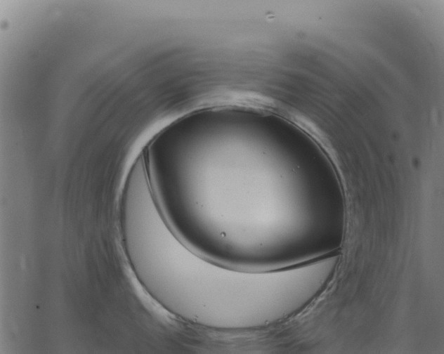 X0000062861152200601201722