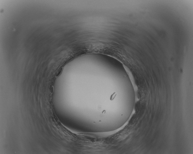 X0000062861153200601201721