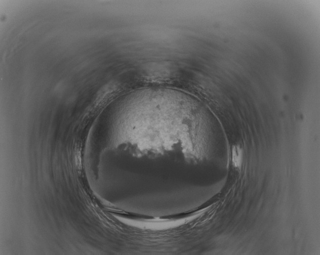 X0000062861155200601201721