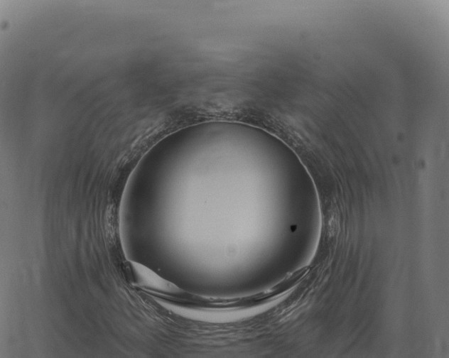 X0000062861156200601201721