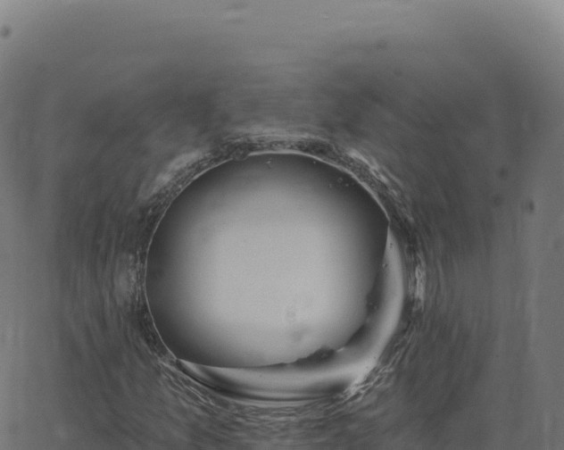 X0000062861157200601201721