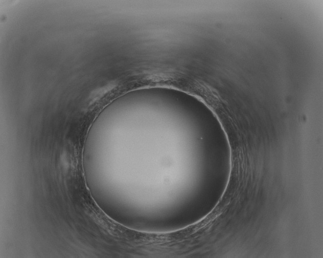 X0000062861158200601201721