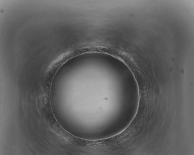 X0000062861159200601201721