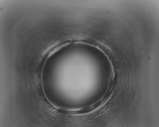 X0000062861160200601201721