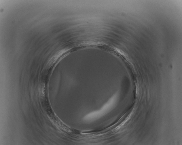 X0000062861161200601201721