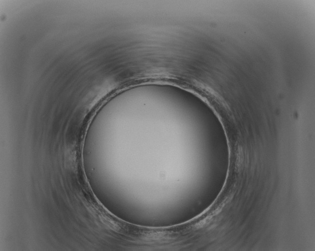 X0000062861162200601201721