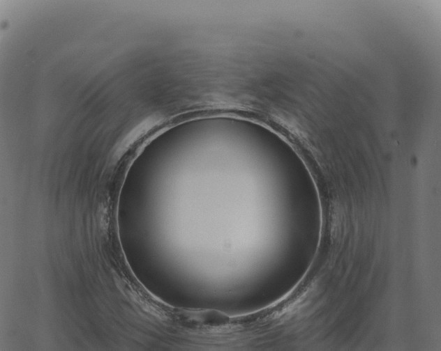 X0000062861163200601201721