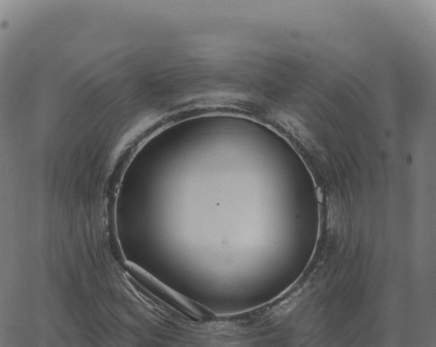 X0000062861164200601201721