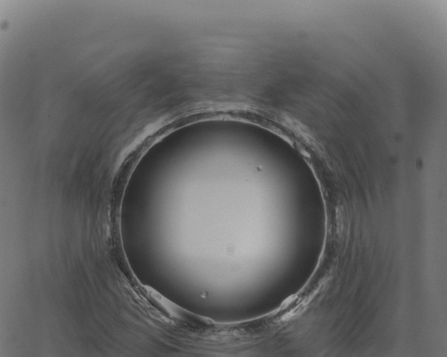 X0000062861165200601201721