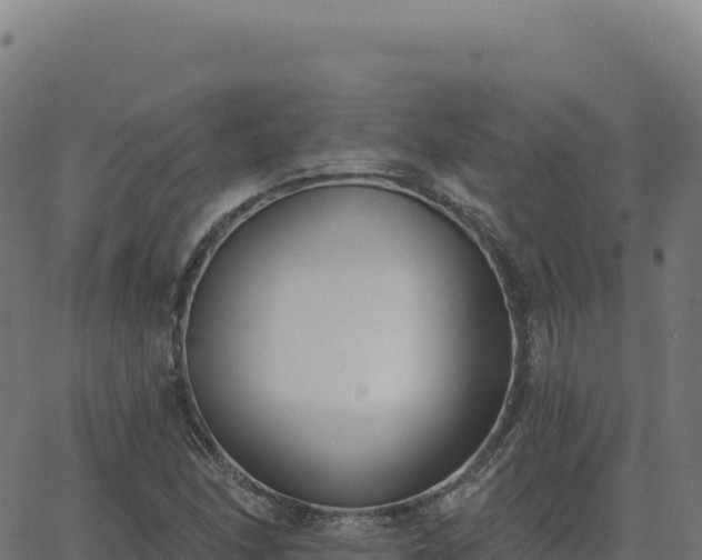 X0000062861166200601201721