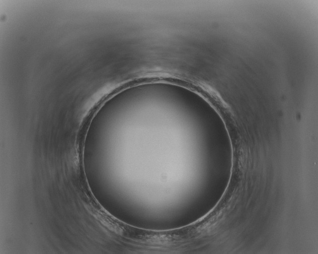 X0000062861167200601201721