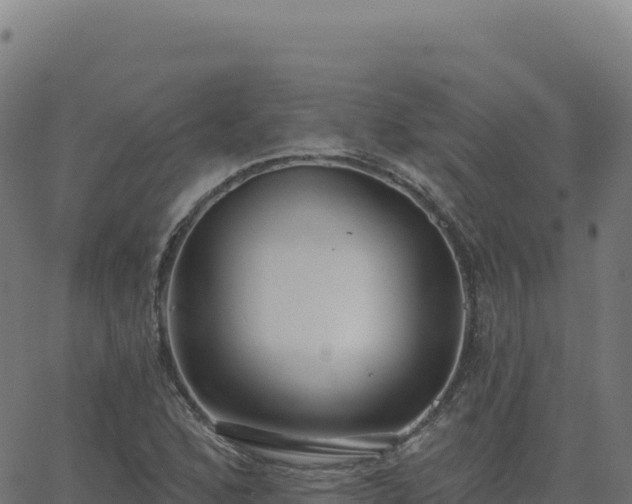 X0000062861168200601201721