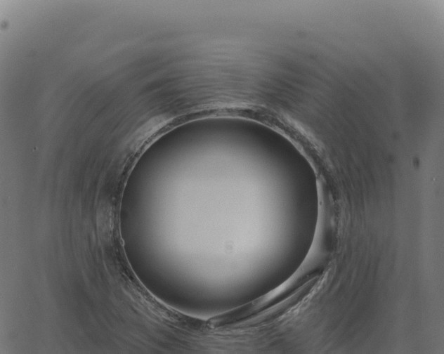 X0000062861169200601201721