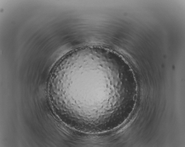 X0000062861170200601201721