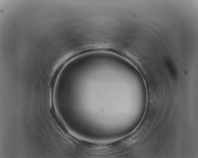 X0000062861171200601201721