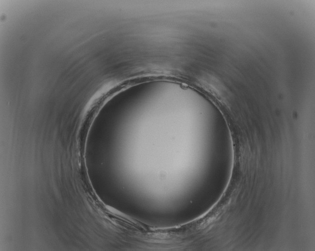 X0000062861172200601201721