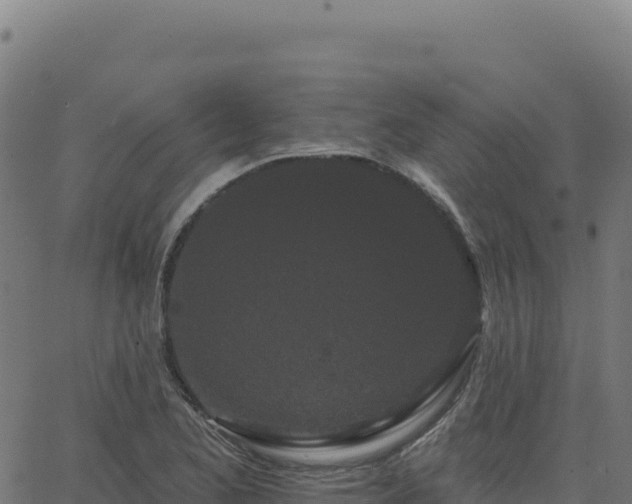 X0000062861173200601201721