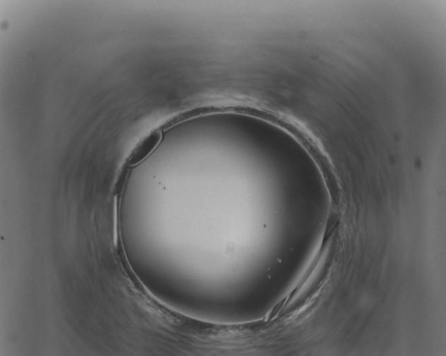 X0000062861175200601201721