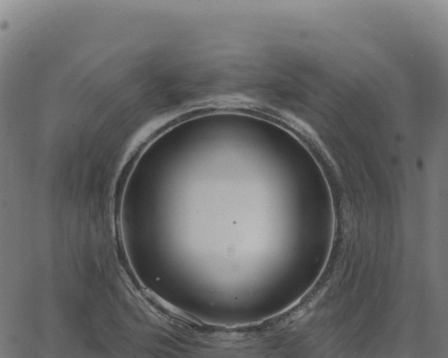 X0000062861176200601201721