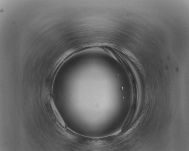 X0000062861177200601201721