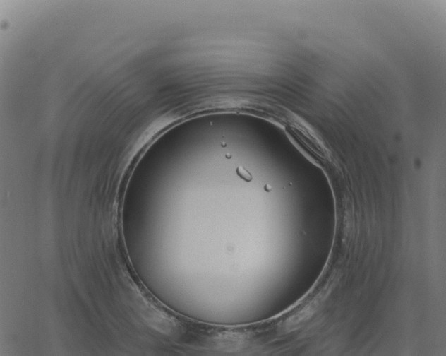 X0000062861178200601201721