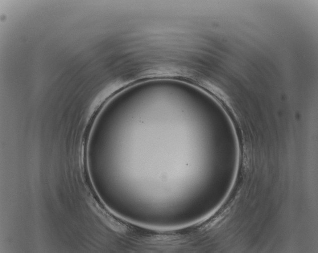 X0000062861179200601201721