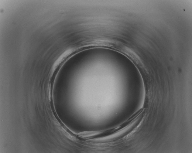 X0000062861180200601201721