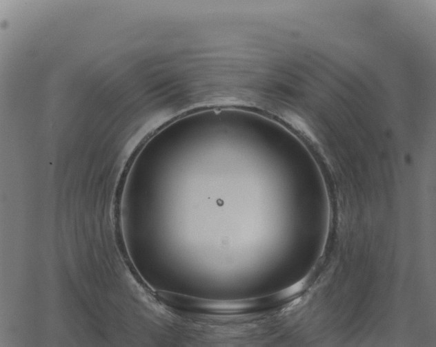 X0000062861181200601201721