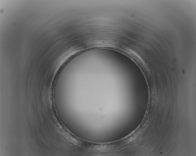 X0000062861182200601201721