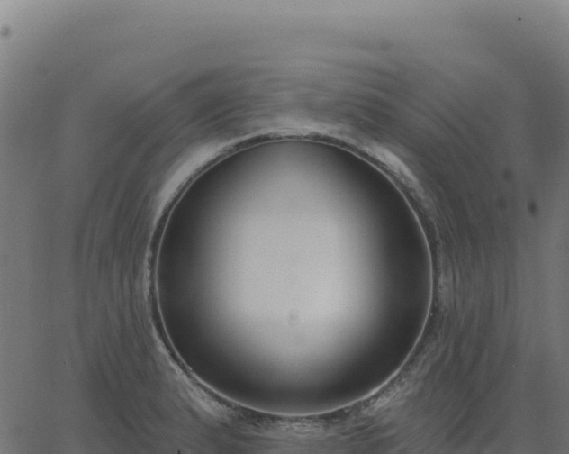 X0000062861183200601201721