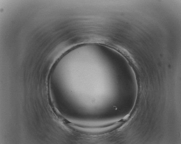 X0000062861184200601201721