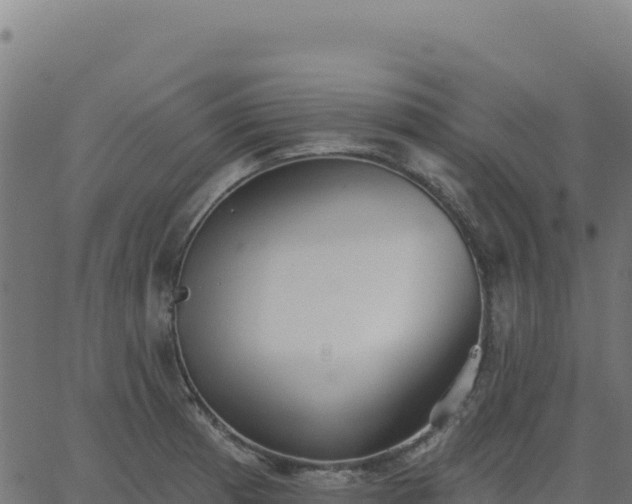 X0000062861185200601201721