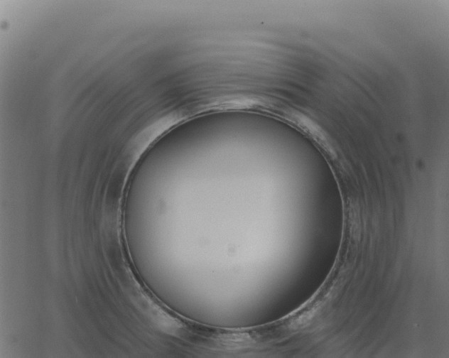 X0000062861186200601201721