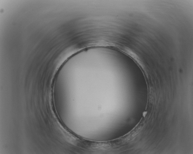 X0000062861187200601201721